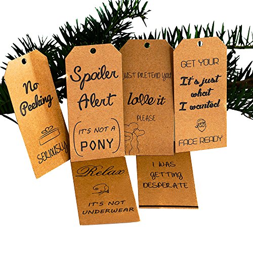 Funny Christmas Holiday Gift Tags - Brown Eco-friendly Kraft Paper Holiday Gift Twine and Tags Great for the Holiday Season, Christmas, Fun Gifts. 24 pcs Includes Twine Strings