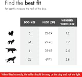 EzyDog Double Up Dog Collar Reflective Nylon Large Blue view 2