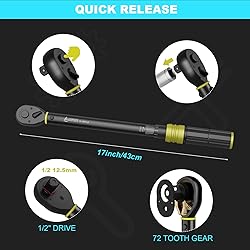 ANPUDS 1/2-Inch Drive Click Torque Wrench, 10-170