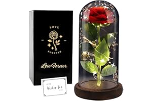 FAYODO Birthday Rose Gifts, Rose Flower Gifts for Women, Beauty and The Beast Rose, Rose Flowers for Mother's Day Women Gift, Red Galaxy Rose Flowers in A Glass Dome for Girlfriend, Wife