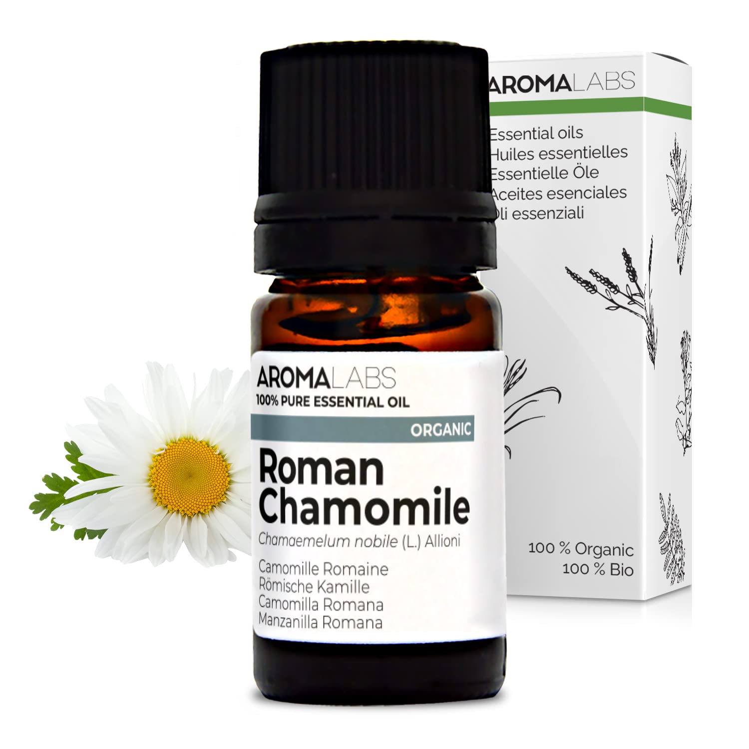 Organic Roman Chamomile Essential Oil - 5ml - 100% Pure, Ecocert Certified Organic - Best Therapeutic Grade Essential Oil - Aroma Labs