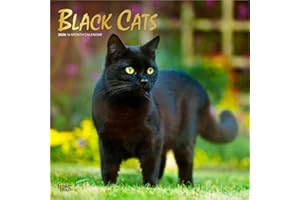Black Cats | 2026 12 x 24 Inch (Hanging) Monthly Square Wall Calendar | Foil Stamped Cover | Plastic-Free | BrownTrout | Animals Kittens Feline