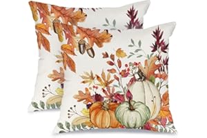 AACORS Fall Pillow Covers 18x18 Set of 2,Pumpkins Maple Leaves Decorations Floral Farmhouse Autumn Thanksgiving Throw Pillow Case Decor for Home Sofa Couch AA559-18-2