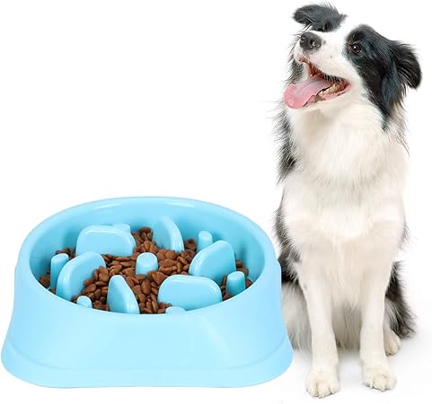 amazon slow dog feeder
