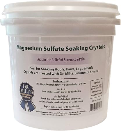 epsom salt bath dogs