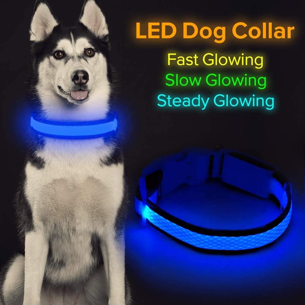 Iseen Collar de perro LED USB recargable de malla (M, azul)