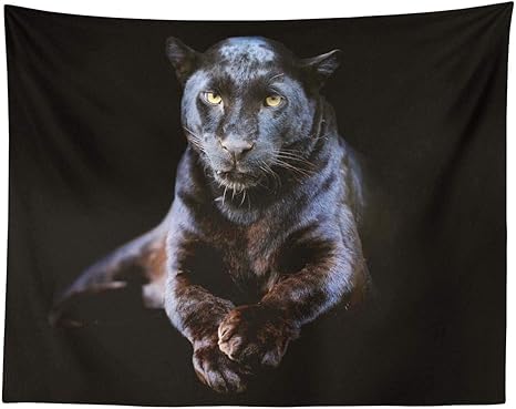 Black Panther Tapestry 2025