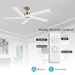 WINGBO 54 Inch DC Ceiling Fan without Lights, 5