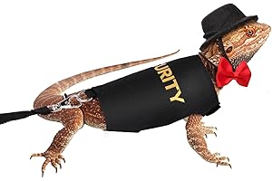 Bearded Dragon Leash and Harness Set, Adjustable Lizard Reptile Leashes Rope with Felt Hat & Bow Tie Accessories for Amphibia
