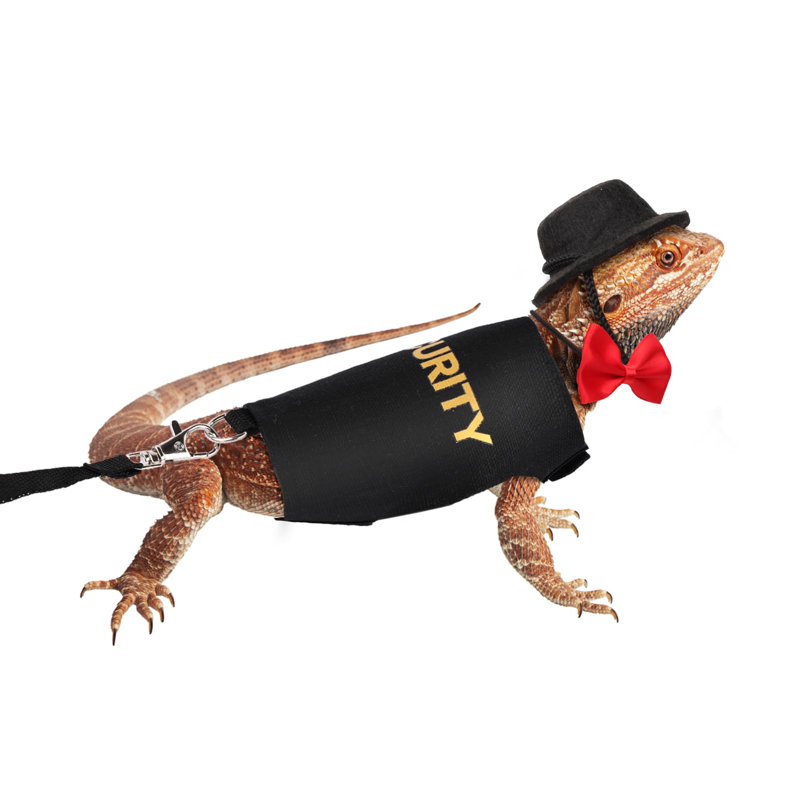 Bearded Dragon Leash and Harness Set, Adjustable Lizard Reptile Leashes Rope with Felt Hat & Bow Tie Accessories for Amphibians Chameleons Small Pet Animals Outdoor Walking