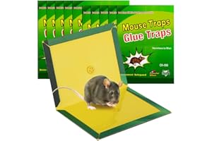 Mouse Trap, Rat Traps, Mice Trap Pest Trap Glue ​can Catch All Kinds of Rodent pests and mice Suitable for Indoor and Outdoor