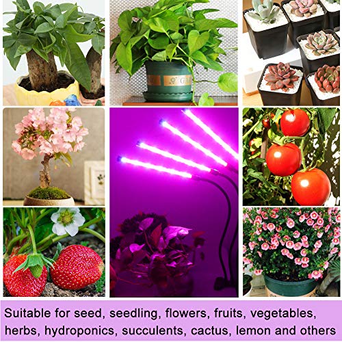 image for Duomishu Upgraded Grow Light, 4 Heads 72pcs LEDs Plant Light for Indoo