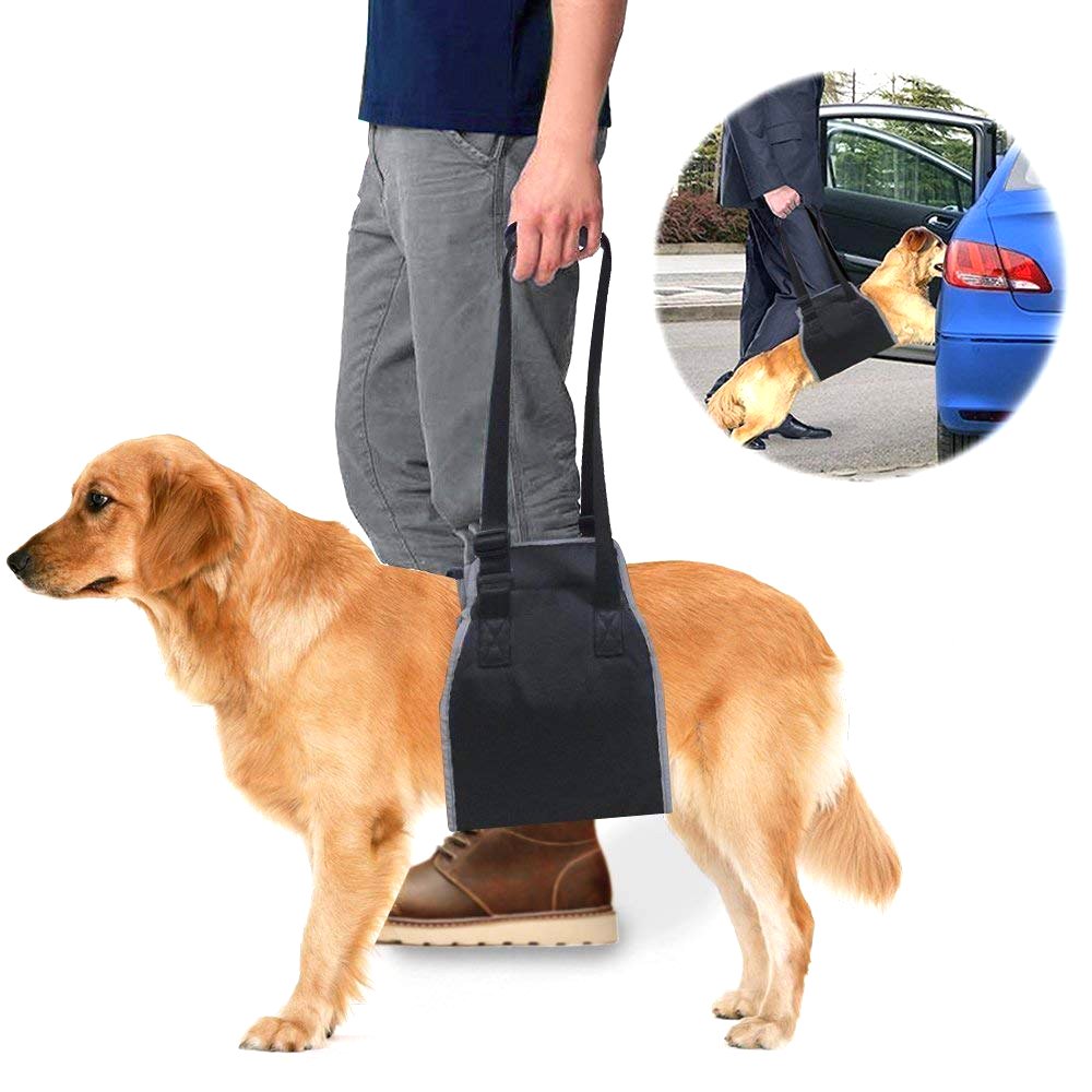 Roadwi Dog Lift Support & Rehabilitation Harness, Oxford and Nylon Pad with Reflective Stitching, Ideal Assist Sling for Dogs Recovering, Recommended for 25-55lbs Dogs (Medium/Black)