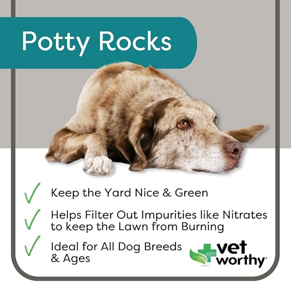 VET WORTHY POTTY ROCKS FOR DOGS – PARAMAGNETIC IGNEOUS ROCKS – HELPS FILTER OUT IMPURITIES AND ELIMINATE URINE LAWN – KEEPS YOUR GRASS GREEN – NATURAL MINERALS – SAFE FOR ALL PETS – 200GRAMS