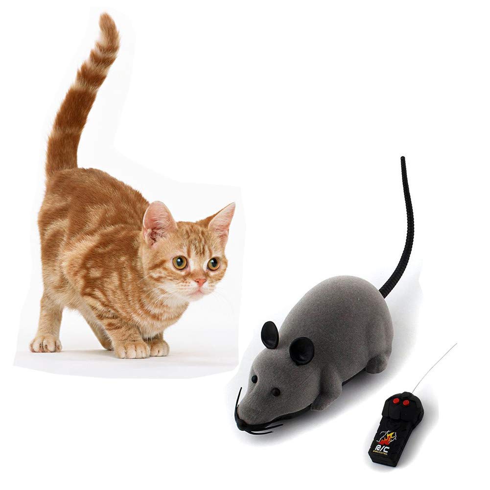 rc mouse for cats