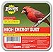 Audubon Park 13065 High Energy Suet Cake Wild Bird Food, 11-Ounces