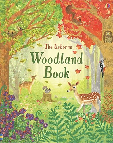 Usborne Woodland Book
