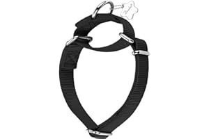 Dazzber Martingale Dog Collar, No-Buckle Escape-Proof Design, Heavy-Duty Nylon and Welded D-Ring, Adjustable Training Collar for Medium Large Dogs (Classic Black, L)