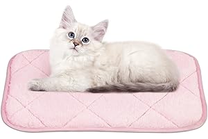 NWK Fluffy Self Warming Cat Mat, Cat Blanket, Thermal Dog Mat, Washable, Non-Slip Bottom for Sofa & Crate & Kennel & Car Seat (Blush Pink, Small (20'' X 16'' X 0.4''))