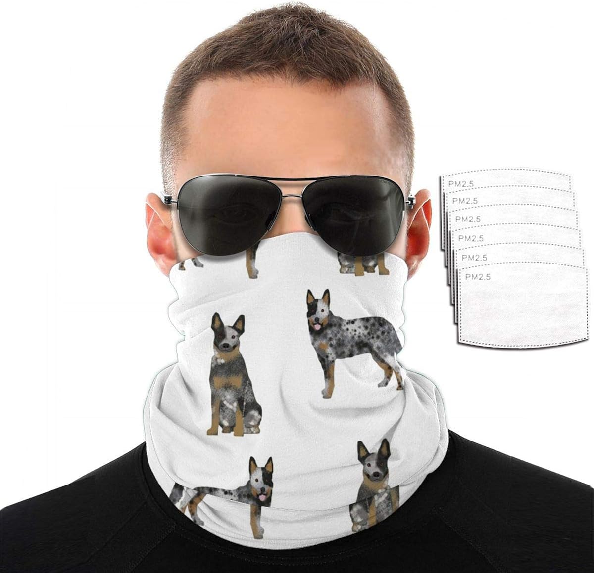 bandana para blue heeler