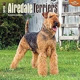 Airedale Terriers 2015 Wall Calendar