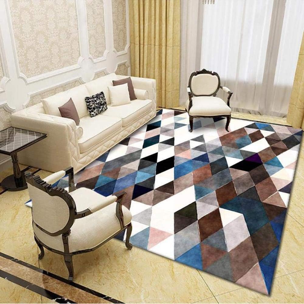 HPPSLT Traditional Living Room Rug Very Long Hallway - The living room ...
