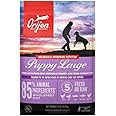 ORIJEN Puppy Large Dry Dog Food, Grain Free Dry Dog Food for Puppies, Fresh or Raw Ingredients, 13lb