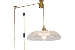 Oyisen Plug in Pendant Light,11.8 Inch Hanging Light with Plug in Cord Glass Lampshade Hanging Lamp Plug in Adjustable Golden Light Cord Hanging Light Plug in for Bedroom