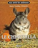 Chinchilla by