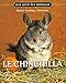 Chinchilla by