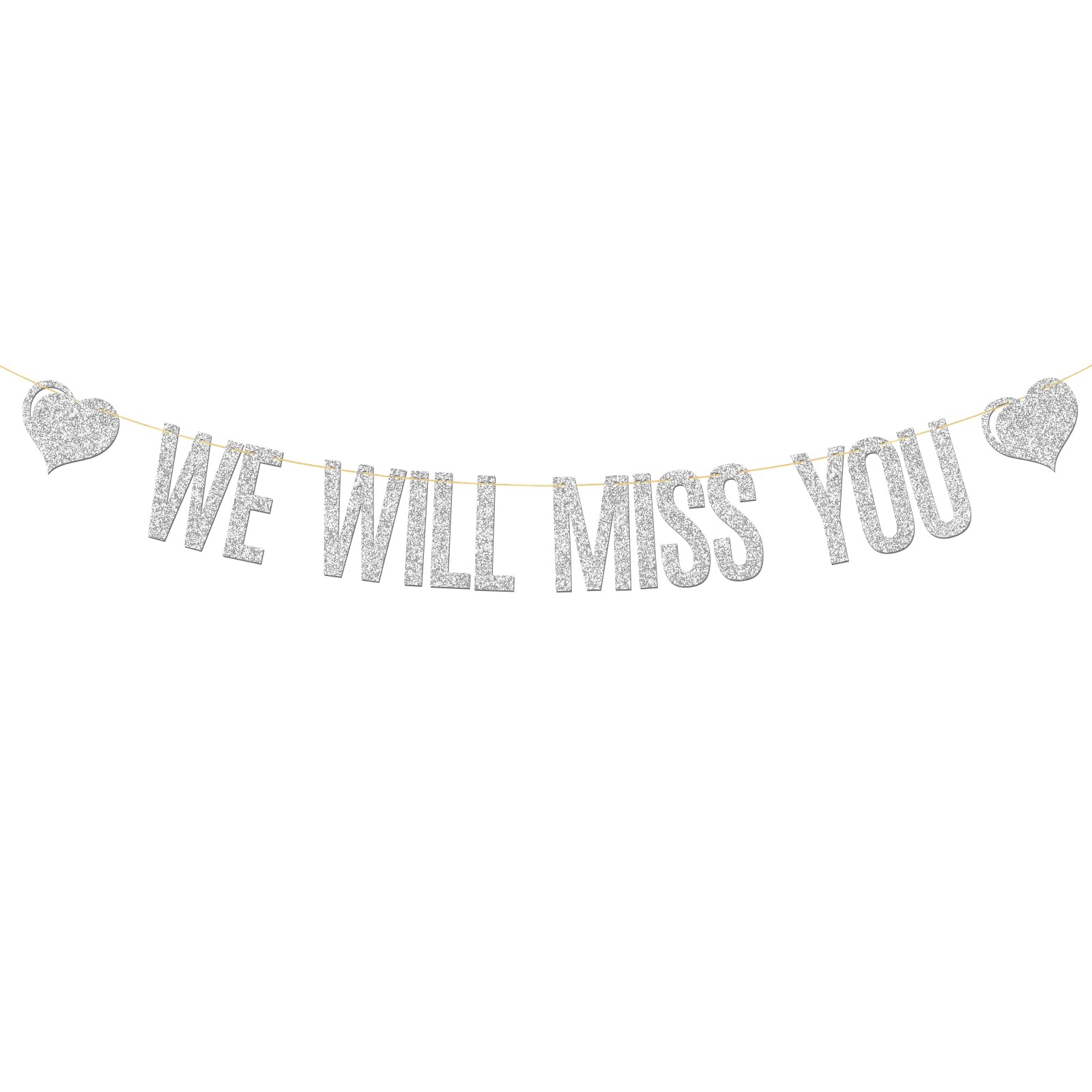 Silver Glitter We Will Miss You Banner Farewell Party Bon Voyage Retirement Party Decorations