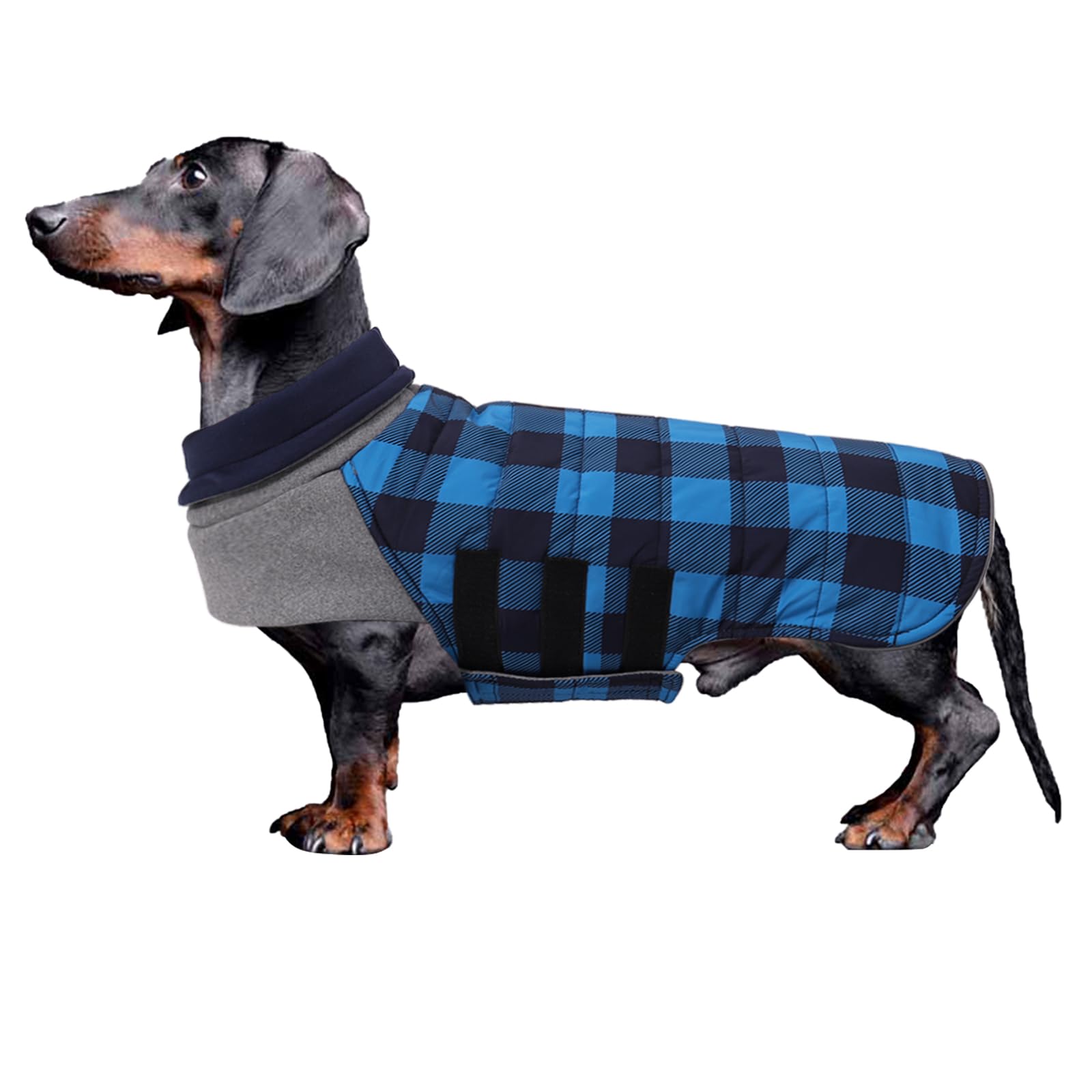 Geyecete Warm Thermal Quilted Dachshund Coat,High Neckine String Holes Dachshund jacketOutdoor Dog Apparel with Adjustable Bands for Small,Medium Dog-Blue-S