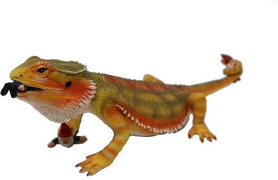 darwin pet food login