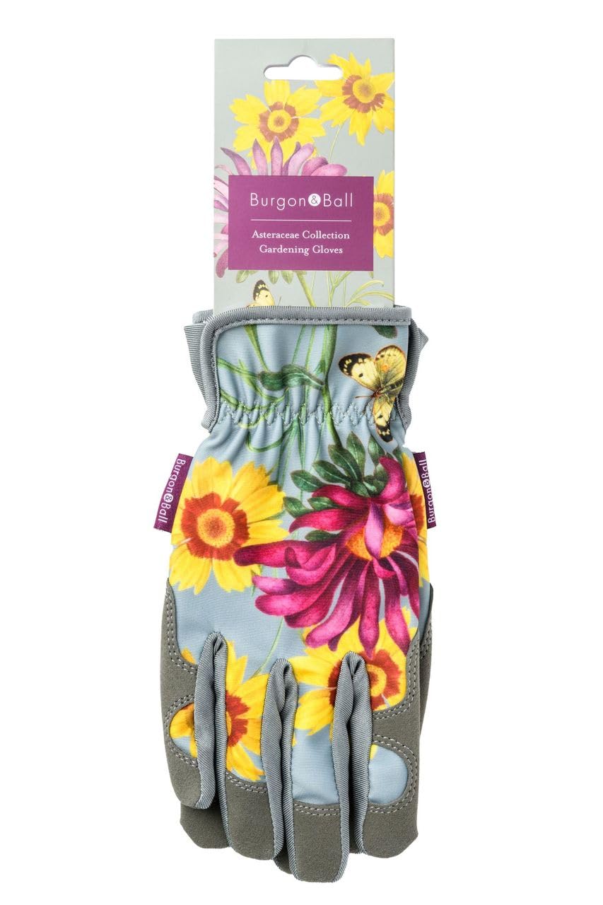 Burgon & Ball RHS Gift Gloves Asteraceae