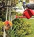 Ashman Red Watering Can for Outdoor and Indoor Plant Watering Use with 3.75 Litre Capacity.