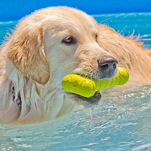 Hyper Pet Hyper Chewz Bone Chew Toy For Dogs