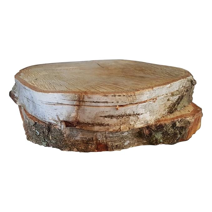 2 Birkenscheiben ca. 20 cm Ø | Scheiben aus Holz | mittlere Birkenholz Scheiben | Holz-Baumscheiben | Tisch-Dekoration