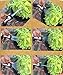 Garden Hose Nozzle Hand Sprayer Metal Construction, 8 Way Spray Pattern with Extra Washers