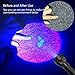 UV Flashlight Black Light, Edbella 51 LED 395 nM Ultraviolet Blacklight Detector for Dry Dog Urine, Pet Stains and Bed Bug