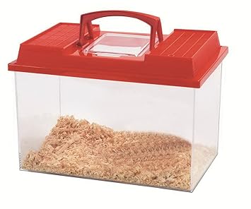 Resultado de imagen de fauna box