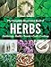 The Complete Illustrated Book of Herbs: Growing • Health & Beauty • Cooking • Crafts by 