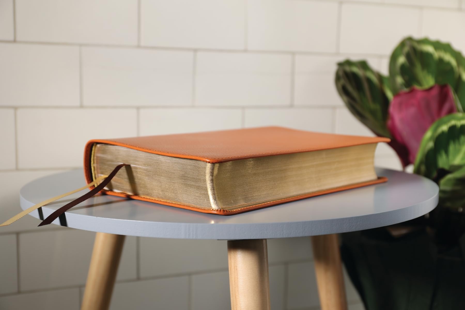 ESV, Thompson Chain-Reference Bible, Genuine Leather, Calfskin, Tan, Red Letter