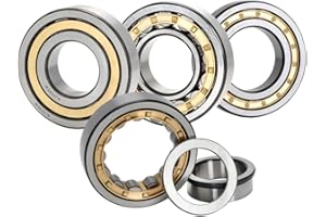 Cylindrical Roller Bearing N NU NJ NF Nup 304 305 306 307 308 309 310 311 312 313 314 315 316 317 318 319 320 EM C3 High Spee