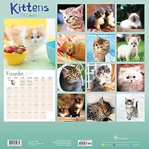 2018 Kittens Wall Calendar