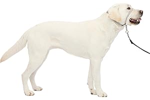 PetSafe Gentle Leader Headcollar - No-Pull Dog Collar for Better Walks - Adjustable for Snout-Specific Fit - Comfortable Head Harness - Large - Silver