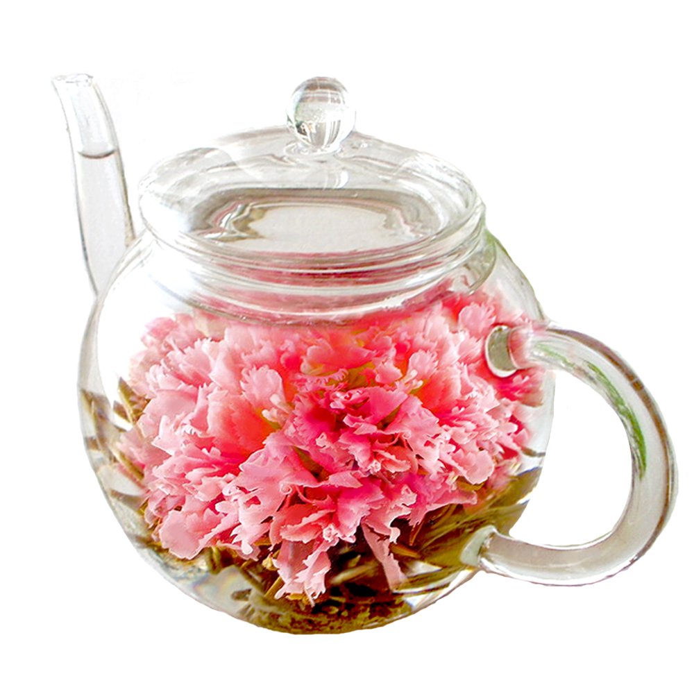Mua カーネーション茶 ティーポット お花のつぼみ フラワーセット 花 おしゃれ お茶 花咲くお茶 工芸茶 誕生日ギフト 御礼 記念日 最短出荷 Amazon倉庫出荷 Tren Amazon Nhật Chinh Hang 21 Fado