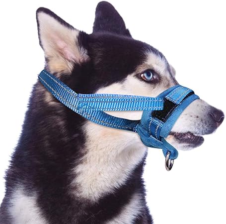 amazon prime dog muzzle