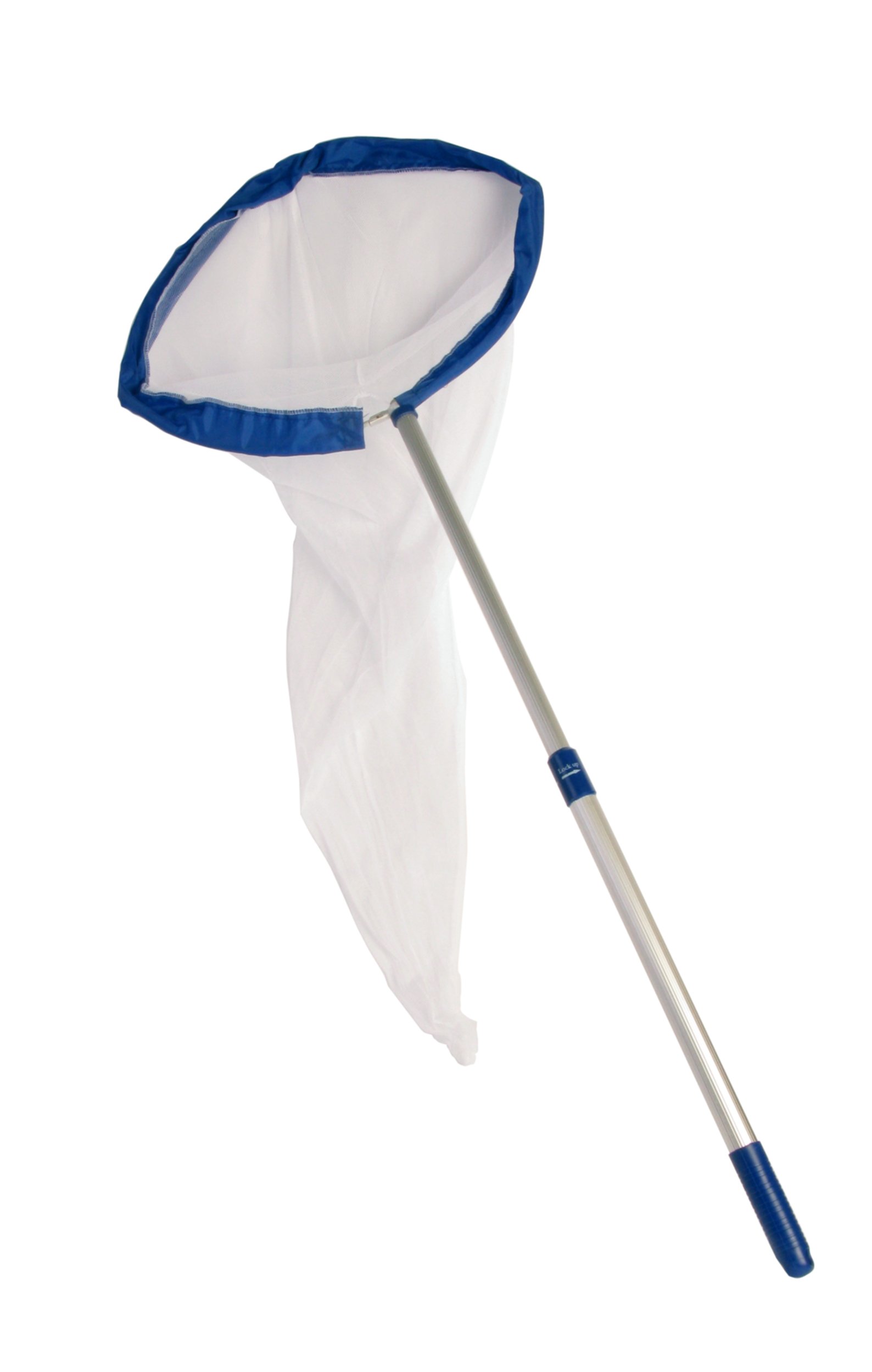 Insects & Insect Kits Bahrain | Buy Online | Whizz Others