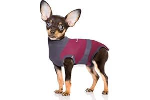 MAXX Dog Recovery Suit – Breathable, Cozy Post-Surgery Suit for Wounds – E-Collar, Cone Alternative(Ruby Red Grey, S)