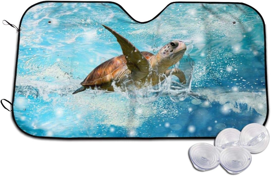 Best Ninja Turtle Windshild Visor